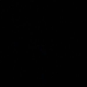 Meet your Posher, Ana